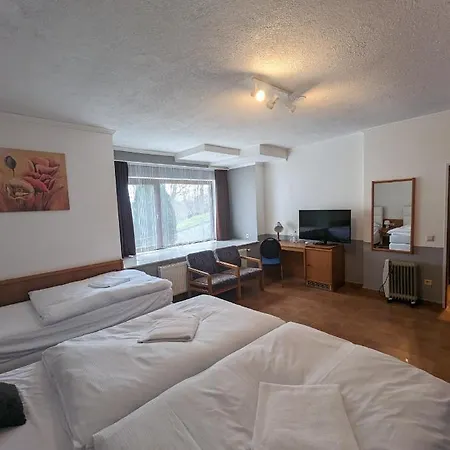 Eiserner Anton 호텔 *